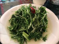 -泸沽肴(泸沽湖大洛水村农村信用社旁店)
