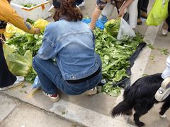 -雪绒花路停车场