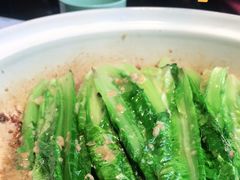 -三强鸽子(中原路店)