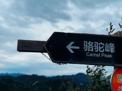 -大岭沟猕猴桃谷风景区