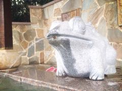 -天目湖涵田半山温泉