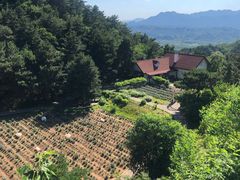 -云峰山自然风景区
