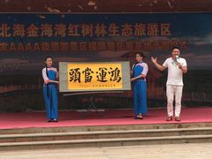 -北海金海湾红树林生态旅游区