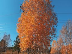 -满洲里口岸套娃景区