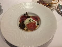 -蝶舍·MAISON PAPILLON