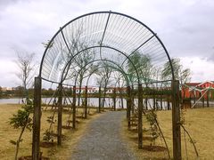 -上海长兴岛郊野公园