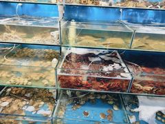 -仙螺岛海鲜自助餐厅(总店)