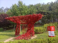 -大望京公园
