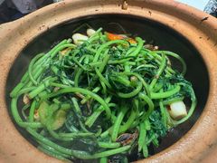 虾酱啫蒿子秆-煲煲好(朝阳门店)