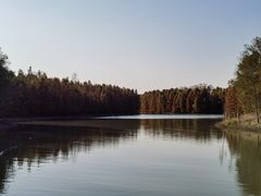 -上海海湾国家森林公园