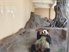 -宁波野生动物园