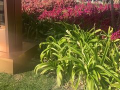 -璐坊粽王(复兴中路店)