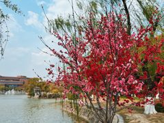 -上海交通大学(闵行校区)