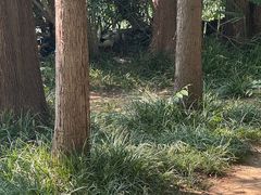 -洛阳市隋唐城遗址植物园