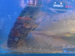 -海帮主·蒸汽海鲜青岛菜(栈桥火车站店)