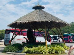 -The Ring Pavilion 魔幻森林