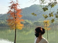 -凤岗南门山森林公园