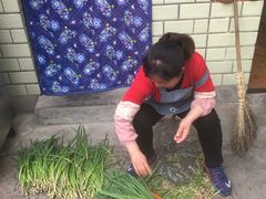 -康陵正德春饼宴26号