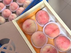 -老袁家蜜桃农场·阳山水蜜桃