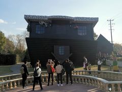 -金山农民画村-枫泾波兰倒置屋