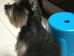 -芭比堂动物医院广州顽皮分院