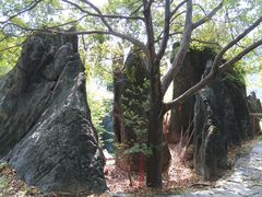 -玉石林风景区