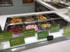 -Salud撒露欧洲冻酸奶(北苑上品店)