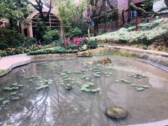 -香港大学