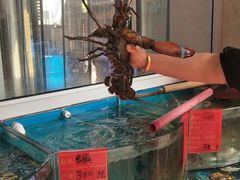 -四海蒸鲜蒸汽海鲜自助(北戴河店)