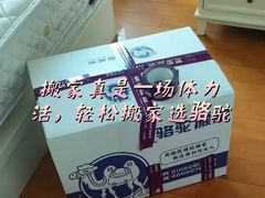 -骆驼日式搬家收纳整理