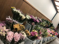 -鹿岛会员店 (龙湖三千集天街店)