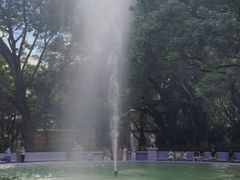 -九龙公园