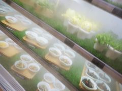 自助取餐区-福禧荟·海鲜自助