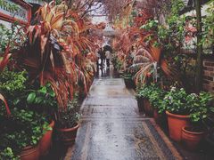 -The Grounds of Alexandria