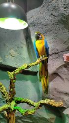 -Zoolung Zoolung动物主题公园(海信广场店)