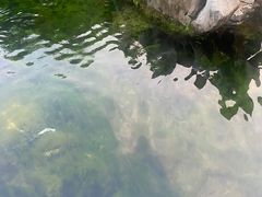 -教师之家赵家羊汤馆(东青龙街店)