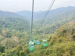 -野象谷景区