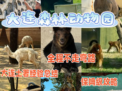 -大连森林动物园