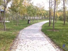 -武清南湖绿博园