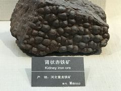 赤铁矿-甘肃地质博物馆