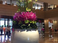 -杭州温德姆至尊豪廷大酒店