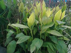 -苏州河梦清园环保主题公园