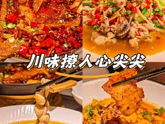 -眉州东坡(团结湖店)