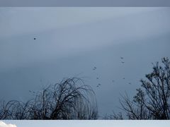 -大理洱海