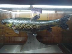 -南京金牛湖风景区