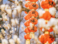 -杭州上天竺法喜讲寺