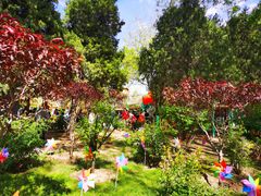 -南宫五洲植物乐园