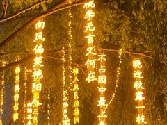 -万泉公园