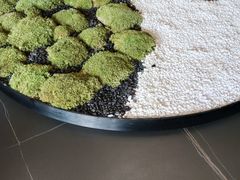 -丰收日(五角场店)