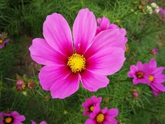 -三亚南山文化旅游区